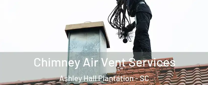Chimney Air Vent Services Ashley Hall Plantation - SC