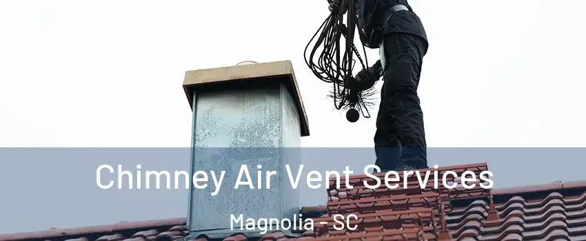 Chimney Air Vent Services Magnolia - SC