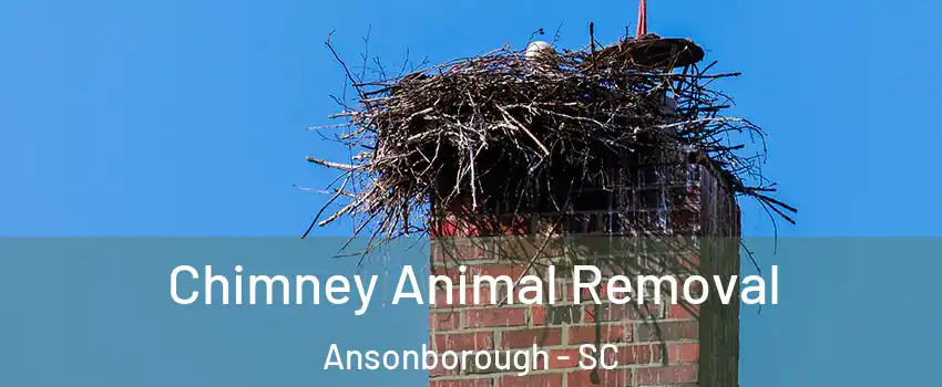 Chimney Animal Removal Ansonborough - SC
