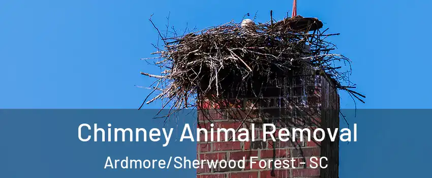 Chimney Animal Removal Ardmore/Sherwood Forest - SC