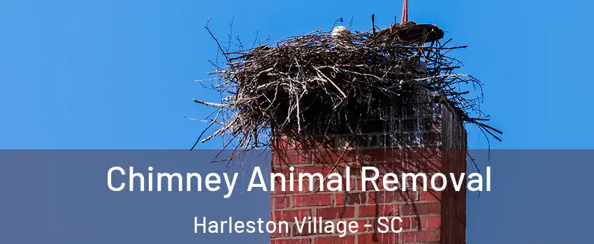 Chimney Animal Removal Harleston Village - SC