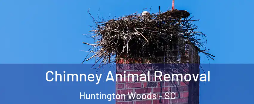 Chimney Animal Removal Huntington Woods - SC