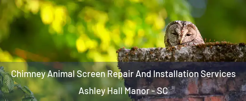Chimney Animal Screen Repair And Installation Services Ashley Hall Manor - SC