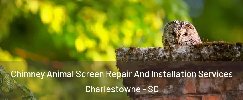 Chimney Animal Screen Repair And Installation Services Charlestowne - SC