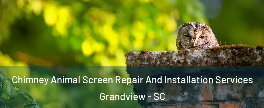 Chimney Animal Screen Repair And Installation Services Grandview - SC