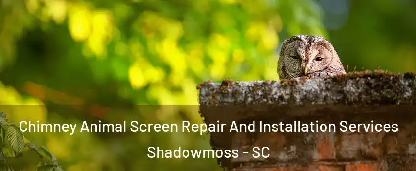 Chimney Animal Screen Repair And Installation Services Shadowmoss - SC