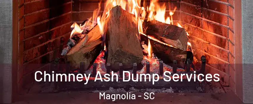 Chimney Ash Dump Services Magnolia - SC