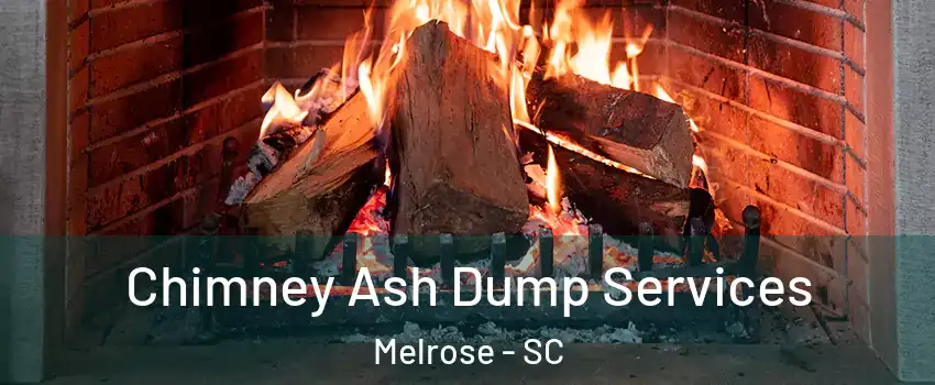 Chimney Ash Dump Services Melrose - SC