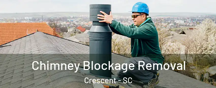 Chimney Blockage Removal Crescent - SC