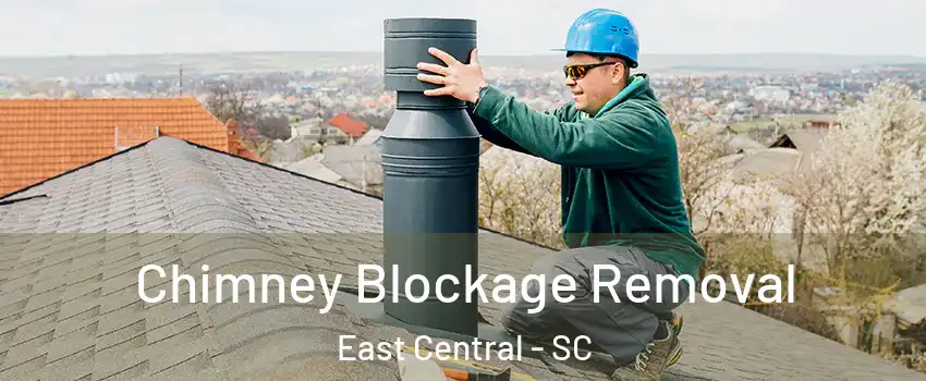 Chimney Blockage Removal East Central - SC