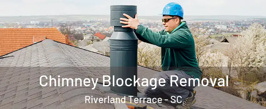 Chimney Blockage Removal Riverland Terrace - SC