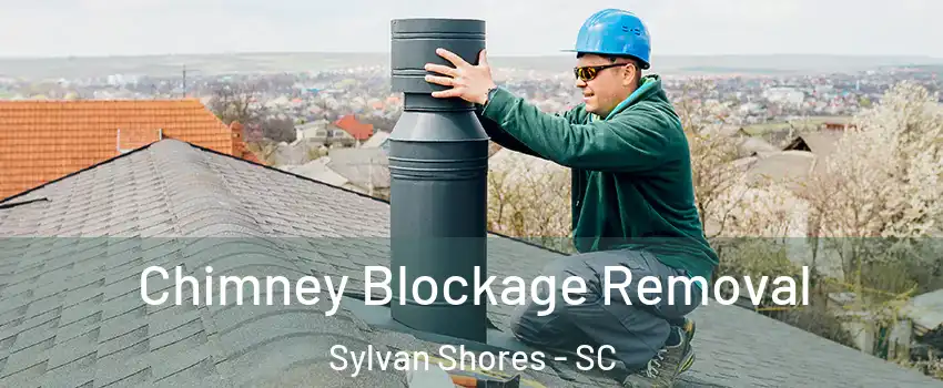 Chimney Blockage Removal Sylvan Shores - SC
