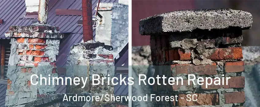 Chimney Bricks Rotten Repair Ardmore/Sherwood Forest - SC