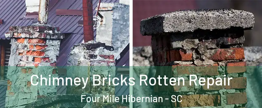 Chimney Bricks Rotten Repair Four Mile Hibernian - SC