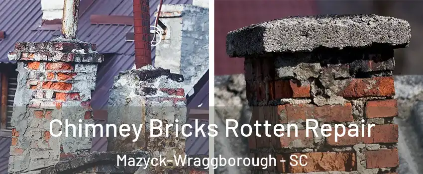 Chimney Bricks Rotten Repair Mazyck-Wraggborough - SC