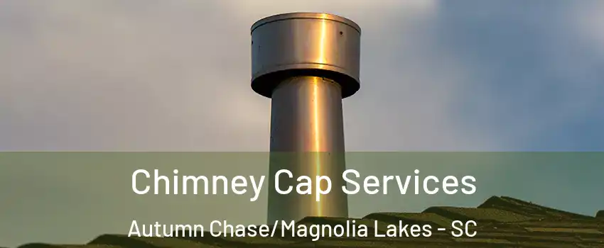 Chimney Cap Services Autumn Chase/Magnolia Lakes - SC