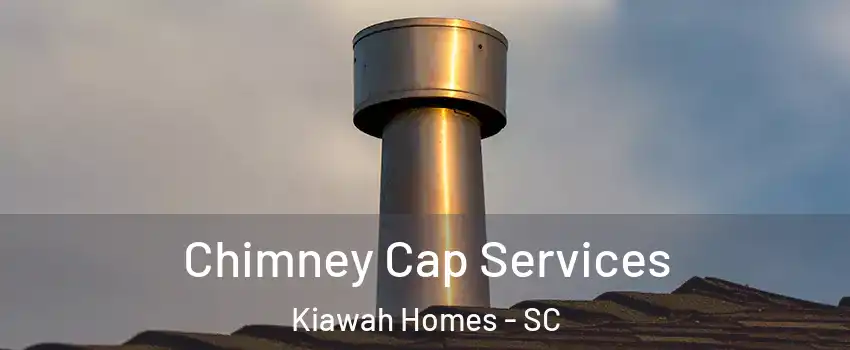 Chimney Cap Services Kiawah Homes - SC