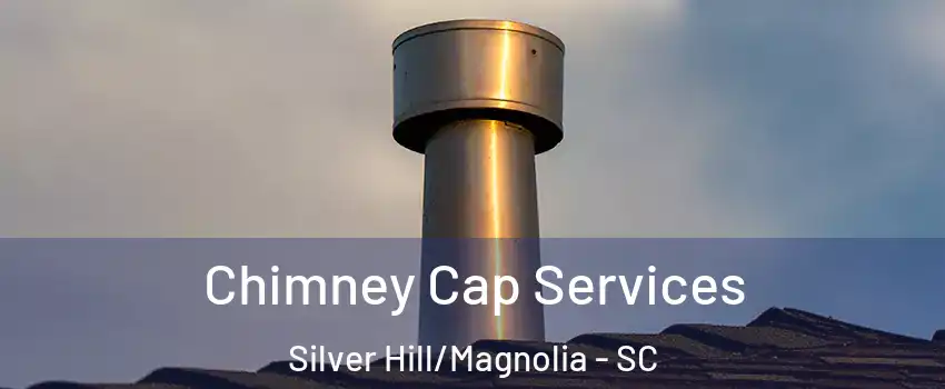 Chimney Cap Services Silver Hill/Magnolia - SC