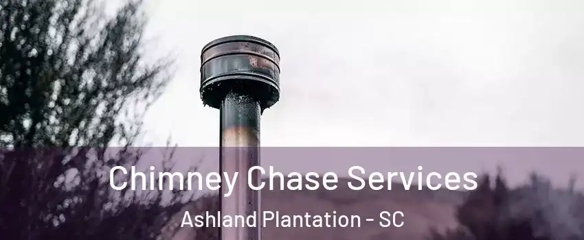 Chimney Chase Services Ashland Plantation - SC