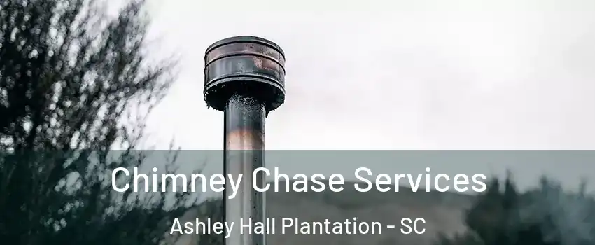 Chimney Chase Services Ashley Hall Plantation - SC