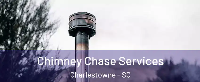 Chimney Chase Services Charlestowne - SC