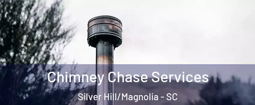 Chimney Chase Services Silver Hill/Magnolia - SC