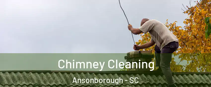 Chimney Cleaning Ansonborough - SC