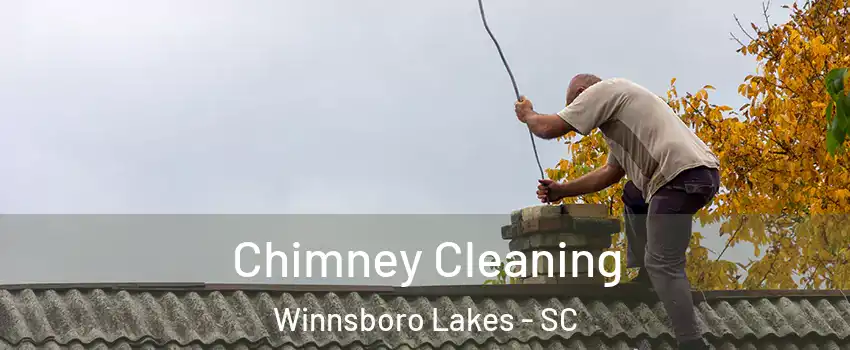 Chimney Cleaning Winnsboro Lakes - SC