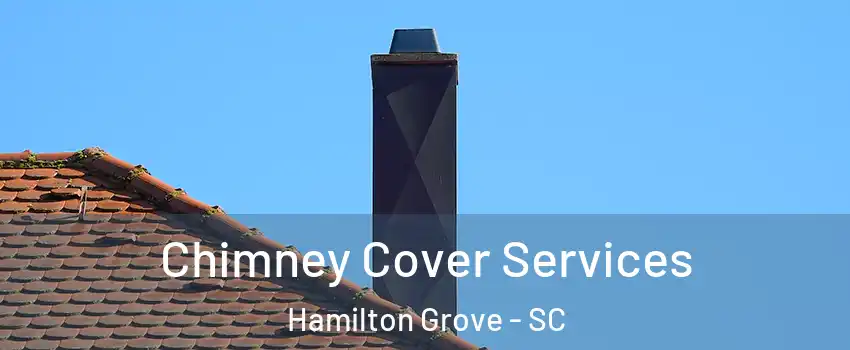 Chimney Cover Services Hamilton Grove - SC
