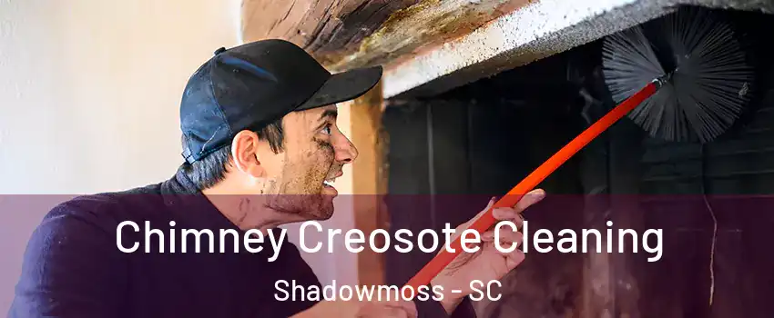Chimney Creosote Cleaning Shadowmoss - SC