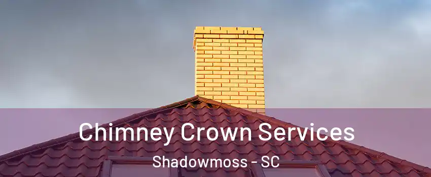 Chimney Crown Services Shadowmoss - SC