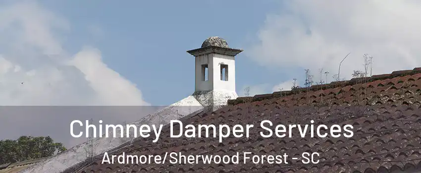 Chimney Damper Services Ardmore/Sherwood Forest - SC