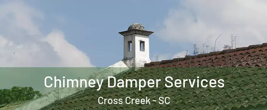 Chimney Damper Services Cross Creek - SC