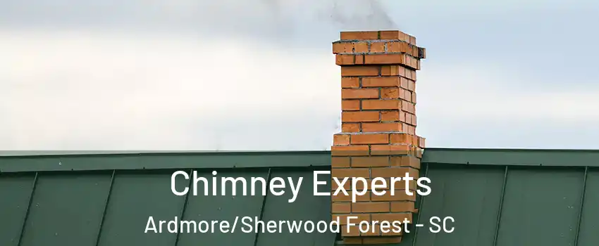 Chimney Experts Ardmore/Sherwood Forest - SC