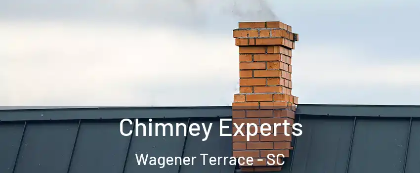 Chimney Experts Wagener Terrace - SC