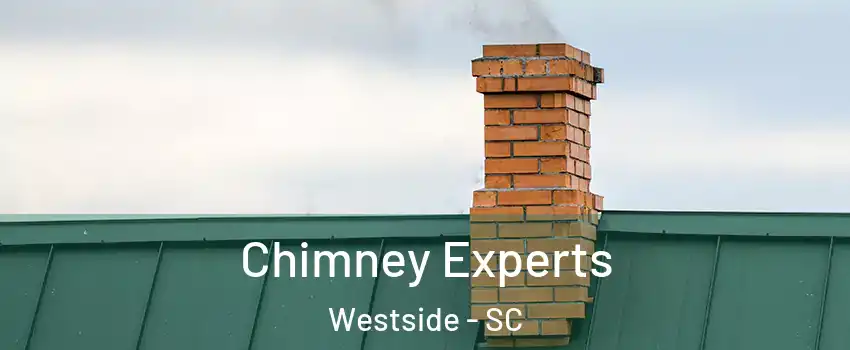 Chimney Experts Westside - SC