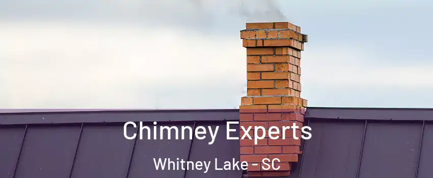 Chimney Experts Whitney Lake - SC