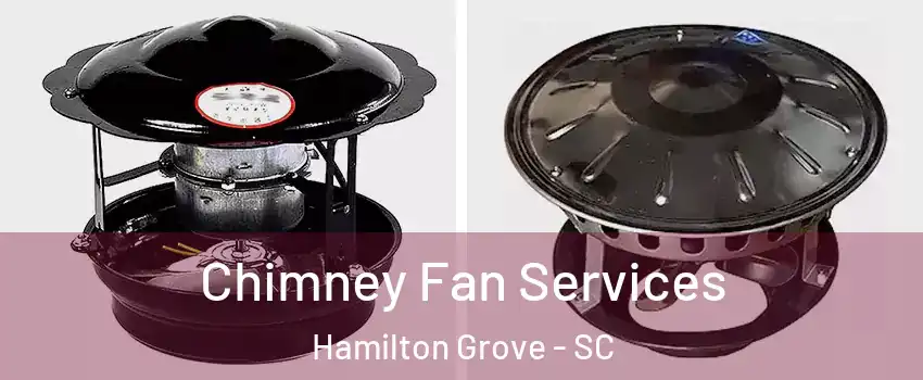 Chimney Fan Services Hamilton Grove - SC
