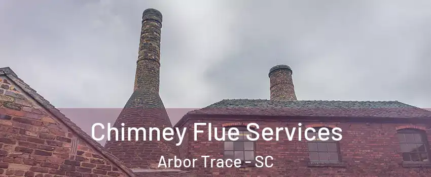 Chimney Flue Services Arbor Trace - SC
