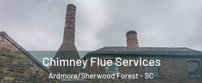 Chimney Flue Services Ardmore/Sherwood Forest - SC