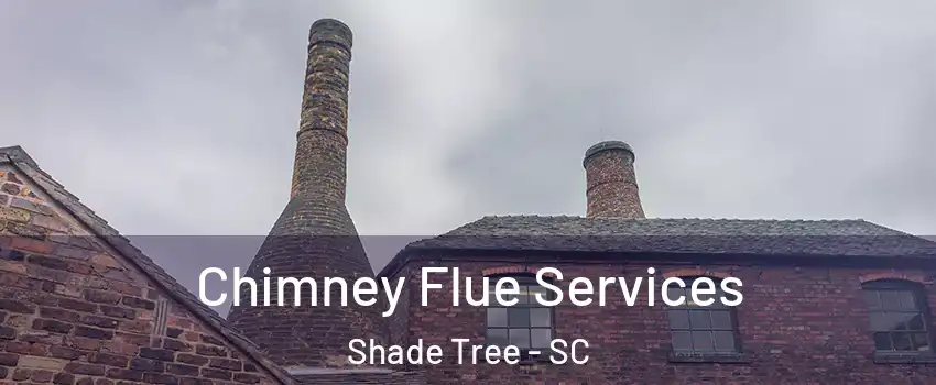 Chimney Flue Services Shade Tree - SC