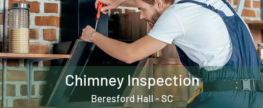Chimney Inspection Beresford Hall - SC