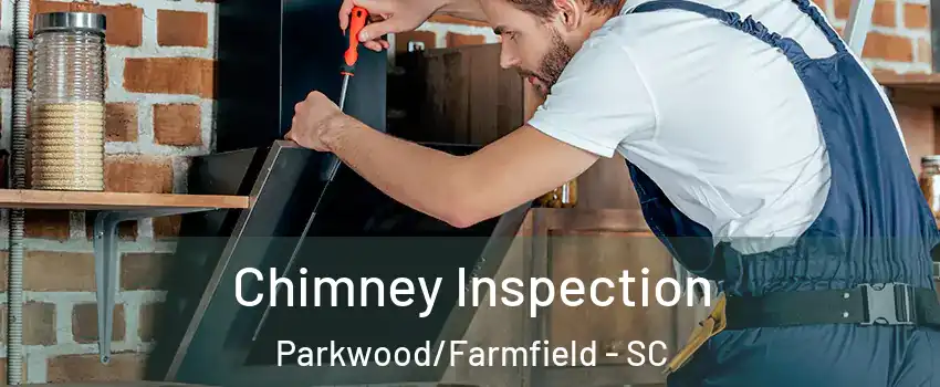 Chimney Inspection Parkwood/Farmfield - SC
