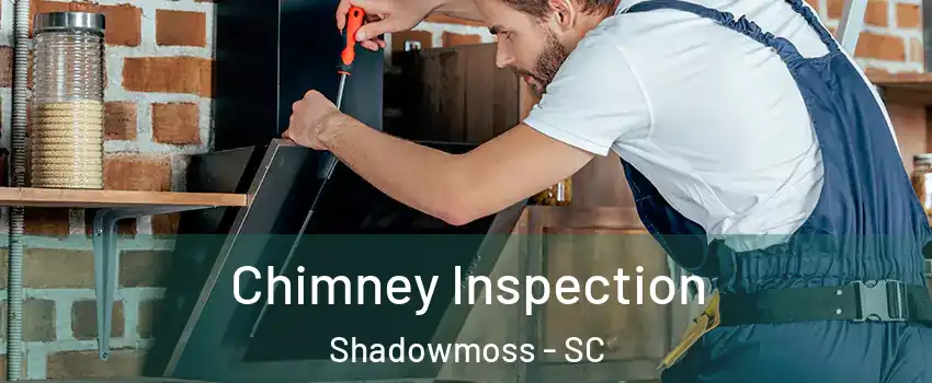 Chimney Inspection Shadowmoss - SC