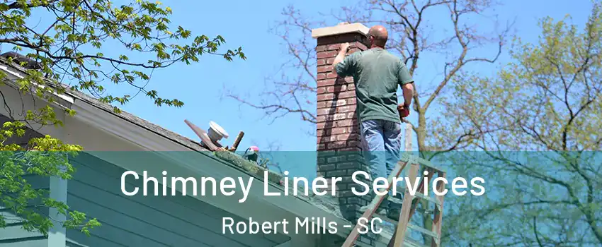 Chimney Liner Services Robert Mills - SC