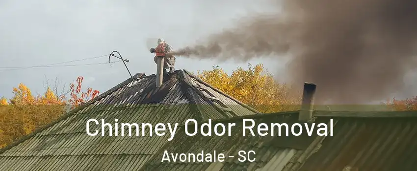 Chimney Odor Removal Avondale - SC