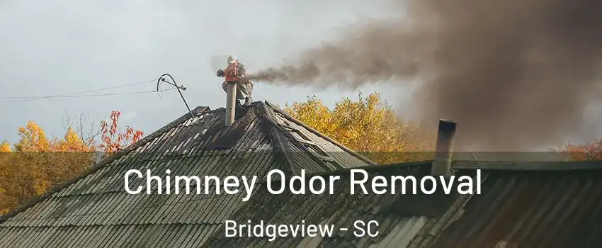 Chimney Odor Removal Bridgeview - SC