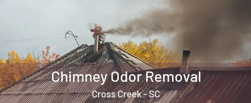Chimney Odor Removal Cross Creek - SC