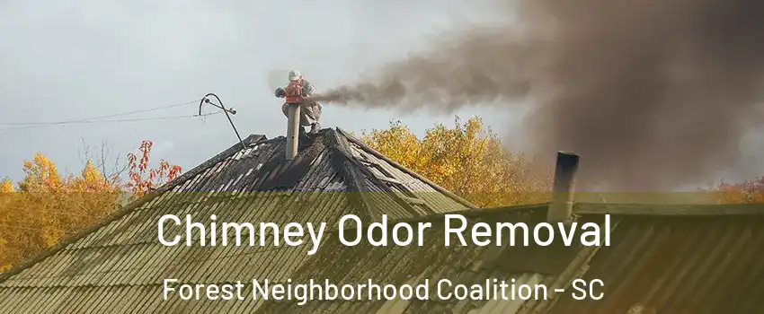Chimney Odor Removal Forest Neighborhood Coalition - SC