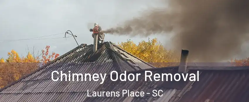 Chimney Odor Removal Laurens Place - SC